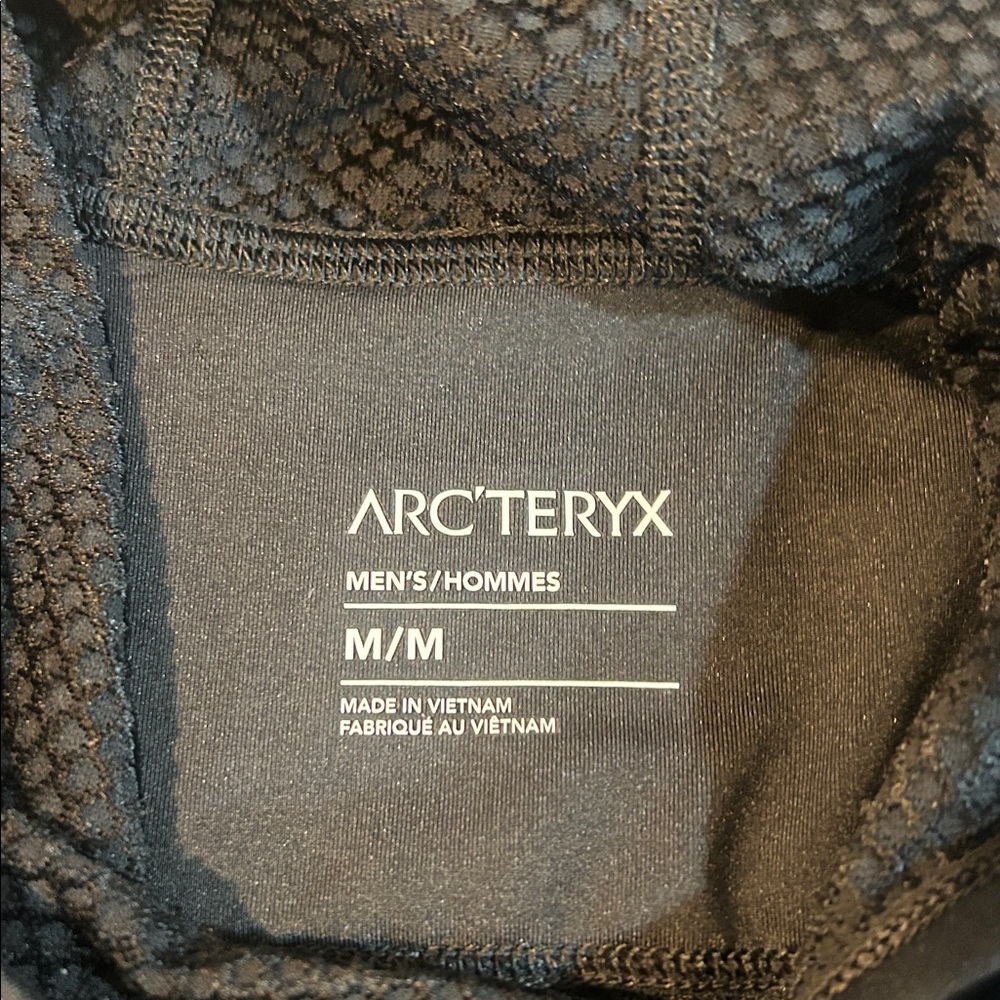 Arc’teryx Delta Pullover Hoody - Picture 8 of 13